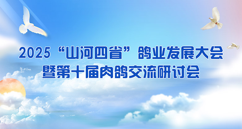 關于舉辦2025“山河四省”鴿業(yè)發(fā)展大會暨第十屆肉鴿交流研討會的通知（第二輪通知）